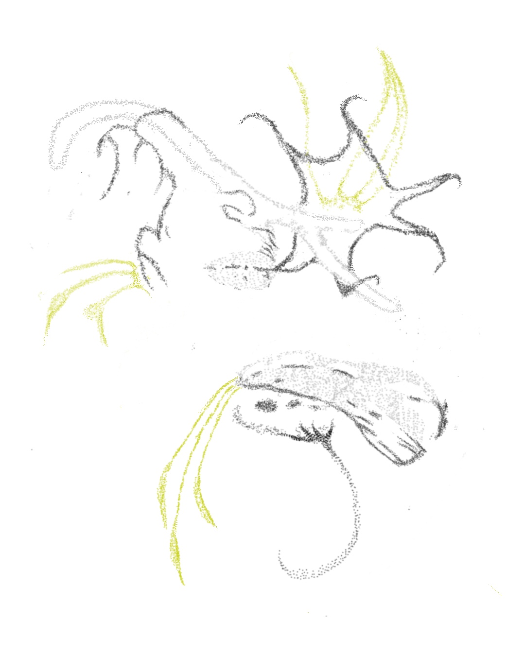 Description of photo 3