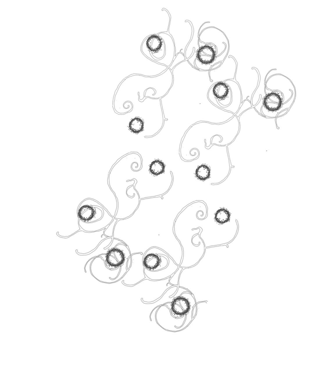 Description of photo 4